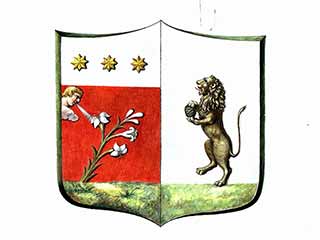 Braschi